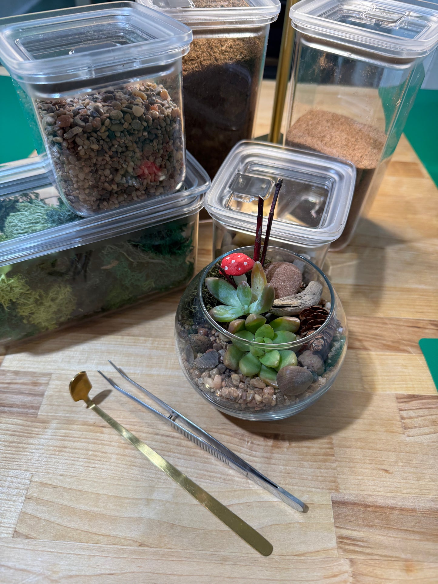 Make your own Terrarium at BLOOM on June 5th at 6pm