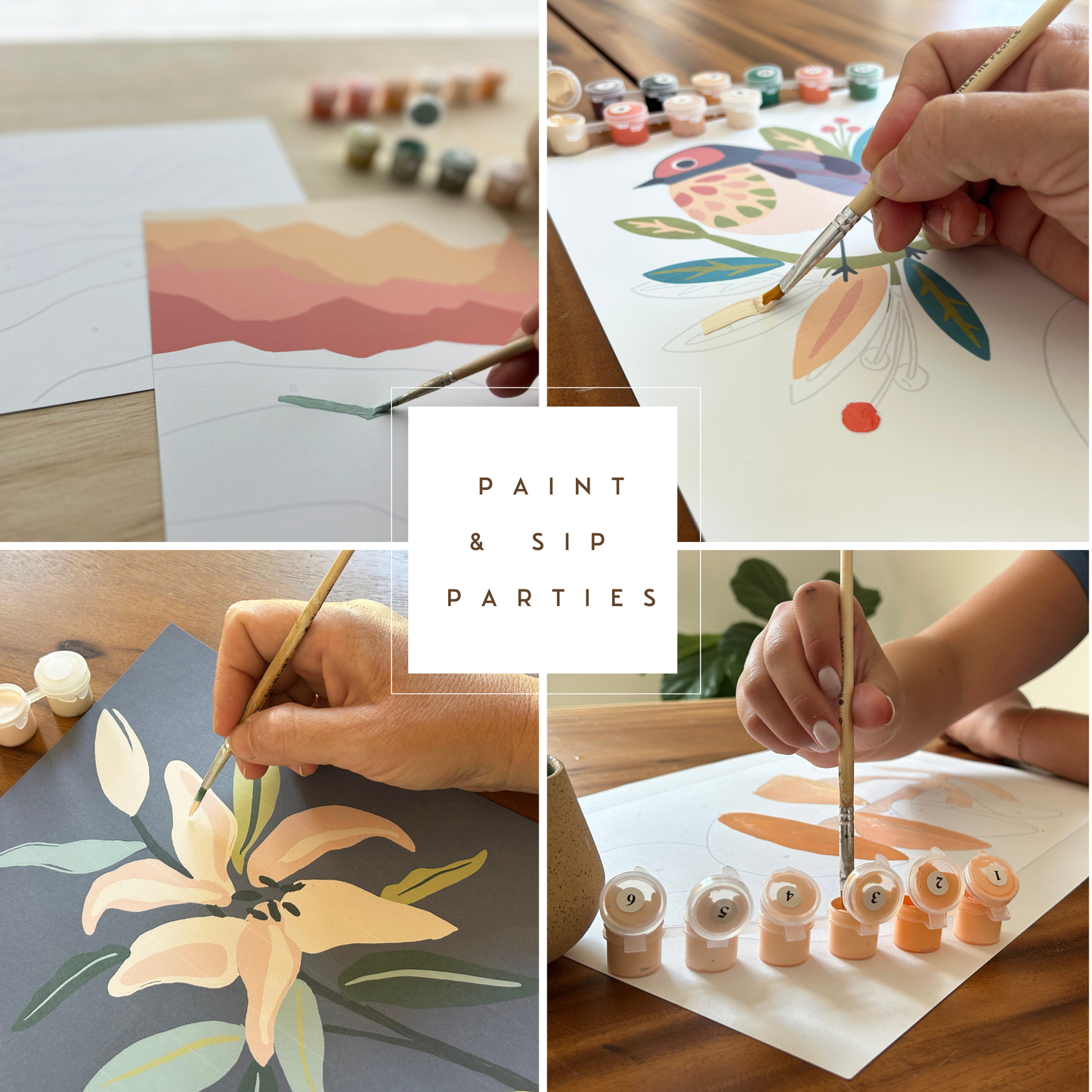 Birds on a Branch Meditative Art Paint by Number Kit: Kit + Frame