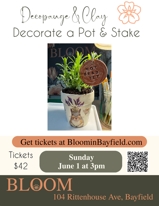 Decorate a Pot & Stake at BLOOM on June 1st at 3pm