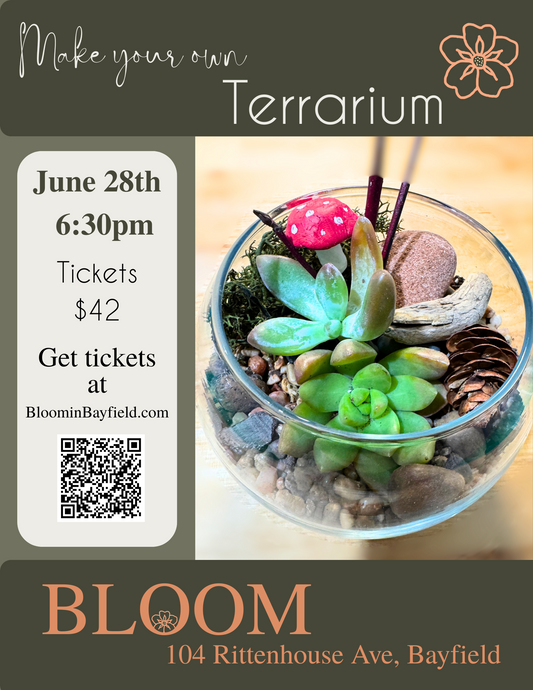 Make your own Terrarium at BLOOM on Oct 16th at 630pm