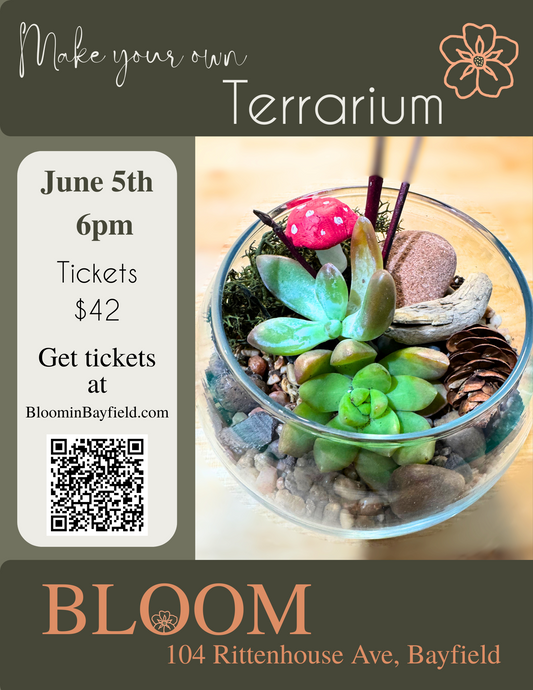 Make your own Terrarium at BLOOM on June 5th at 6pm