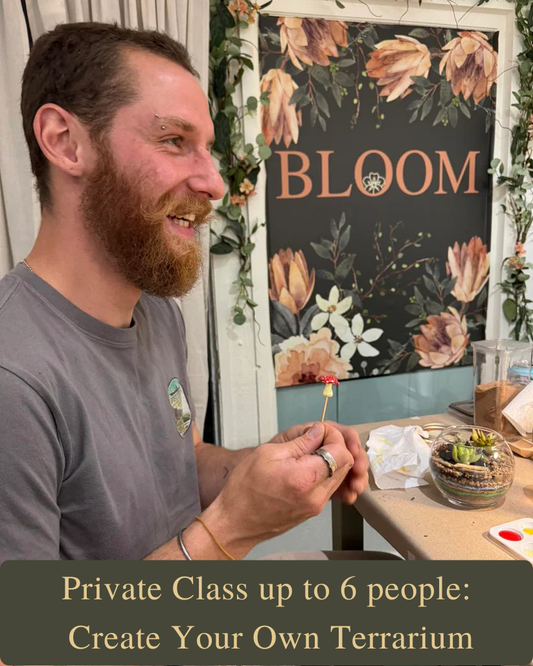 Private Class up to 6 people: Create Your Own Terrarium